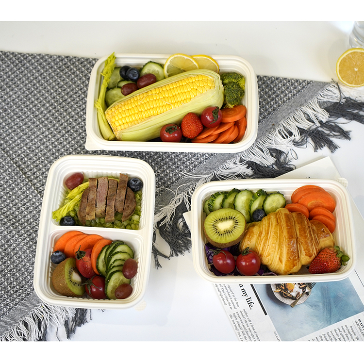 Square lunch box with three compartments