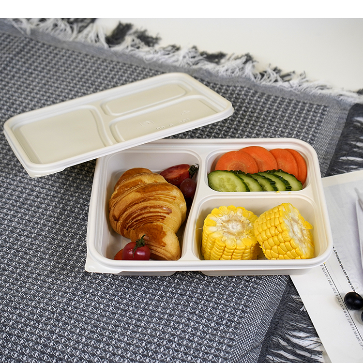 Square lunch box with three compartments