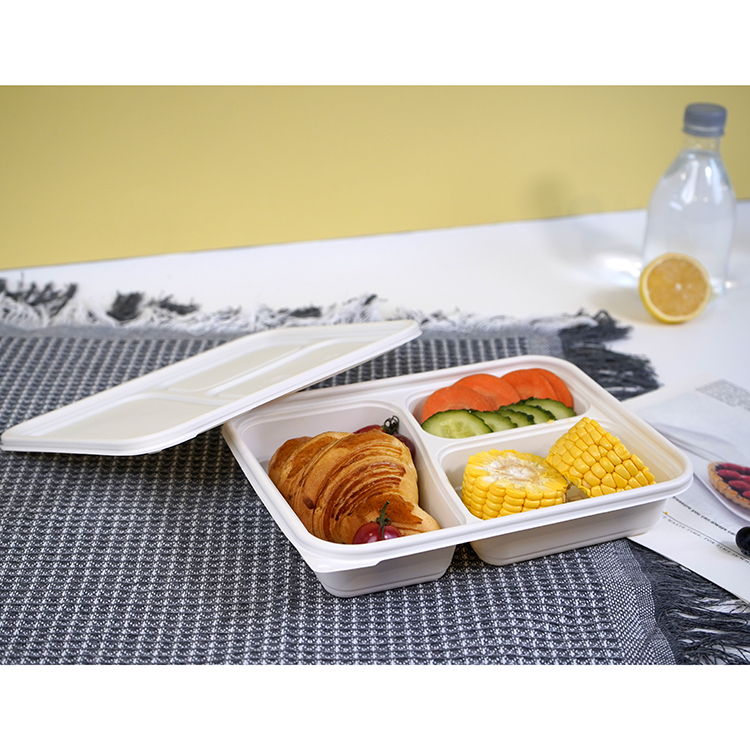 Square lunch box with three compartments