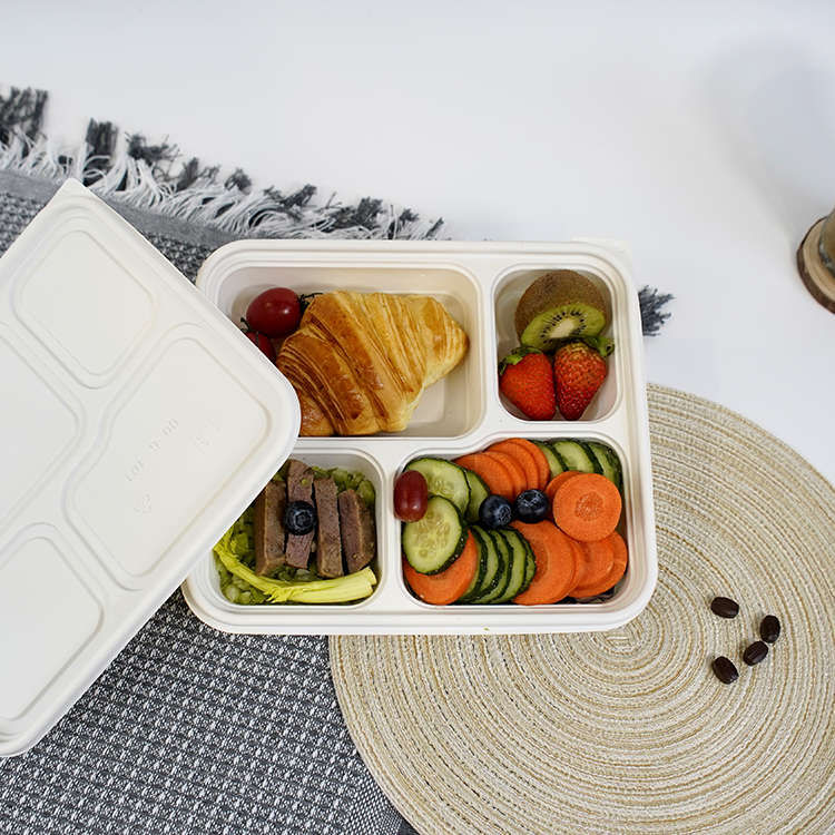 Square lunch box with four compartments
