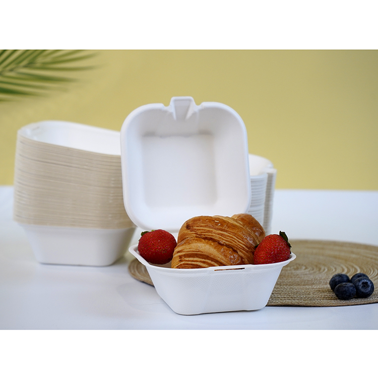 One-piece lunch box single compartment