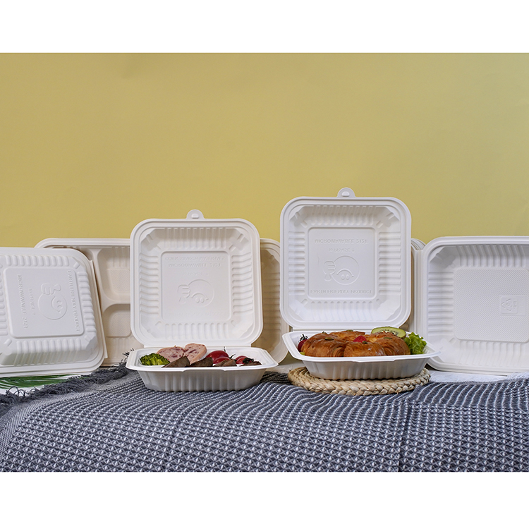 One-piece lunch box single compartment