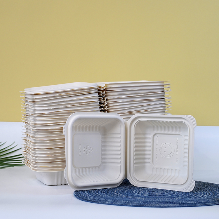 One-piece lunch box single compartment