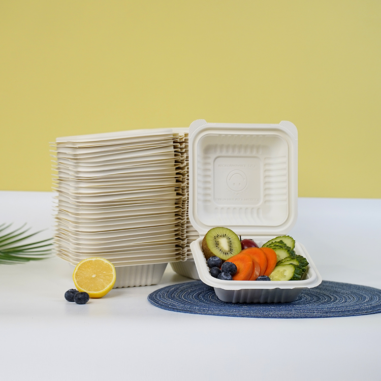 One-piece lunch box single compartment