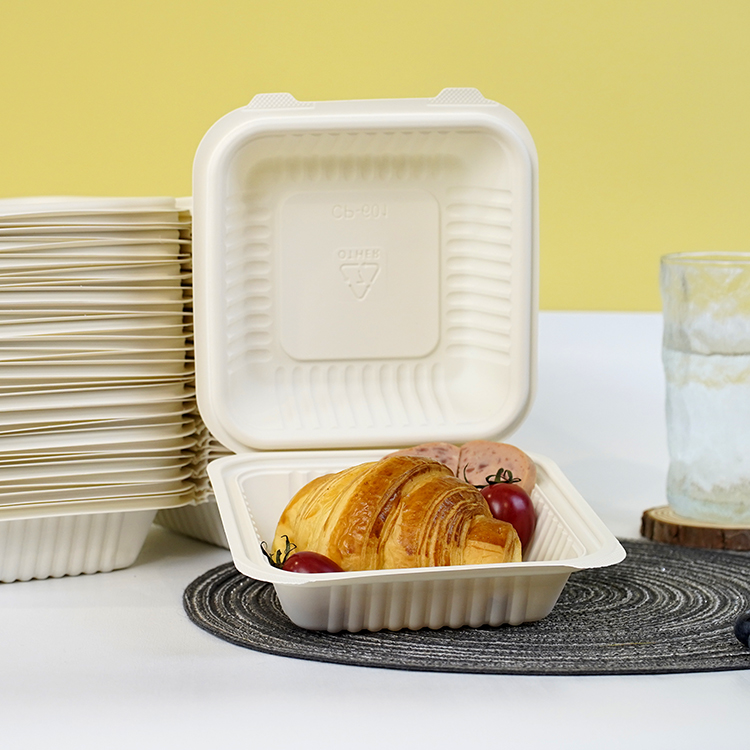 One-piece lunch box single compartment