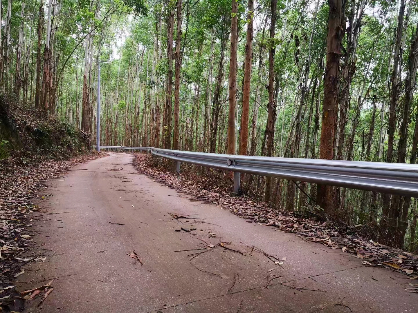 Defensa metalica de 3 crestas