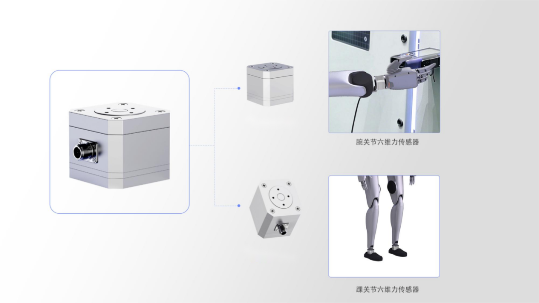 State Grid plans to procure 100 million robot dogs and humanoid robots; the power industry fires the first shot in large-scale embodied intelligence deployment