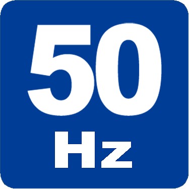 t81