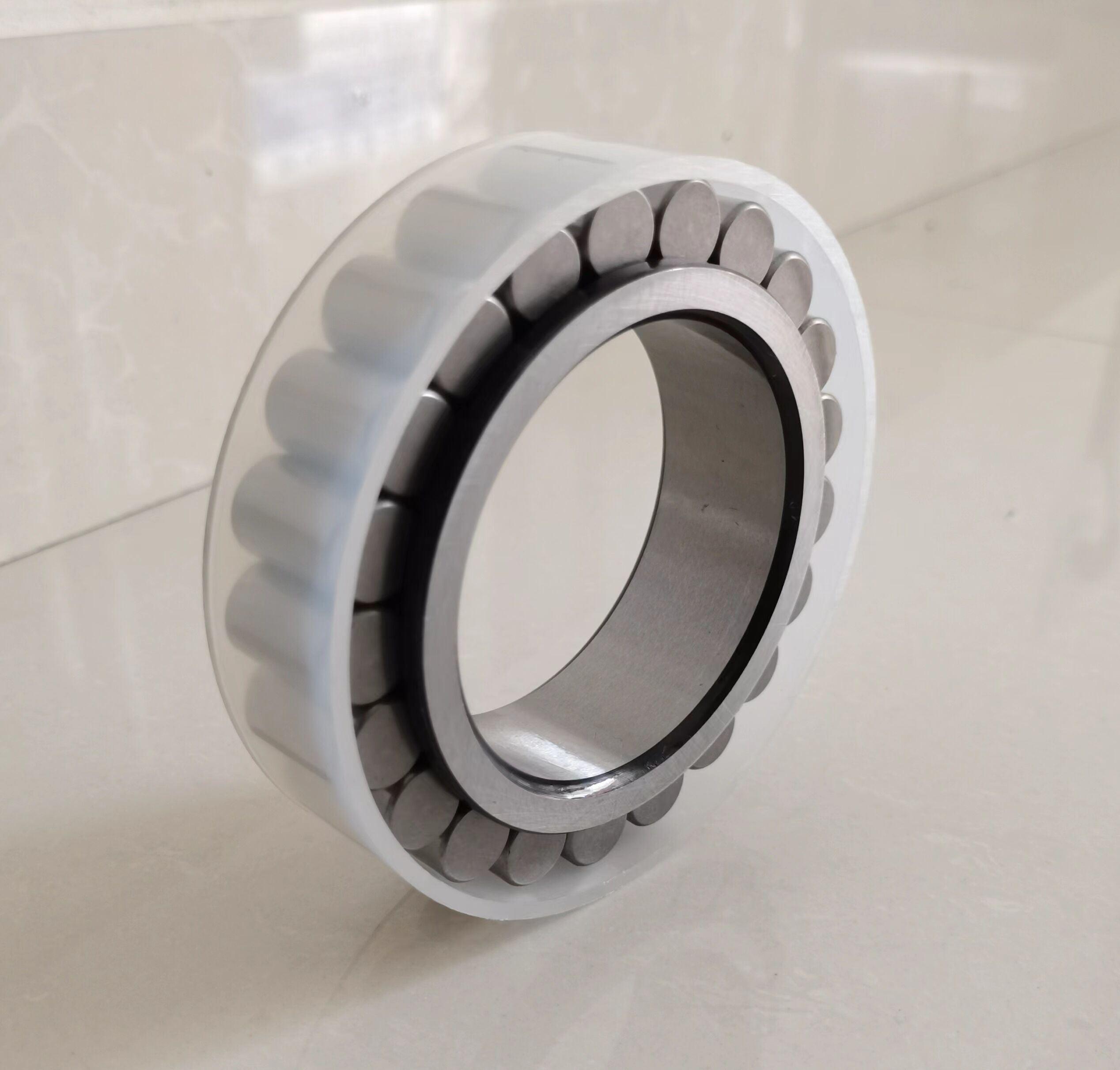 INA SL bearings