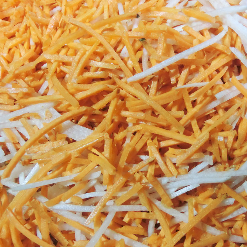 TS120 Vegetable Slicer