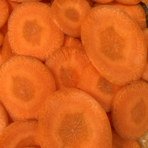 TS120 Vegetable Slicer