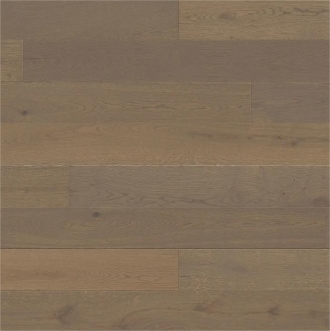 Oak Shell Grey Markant