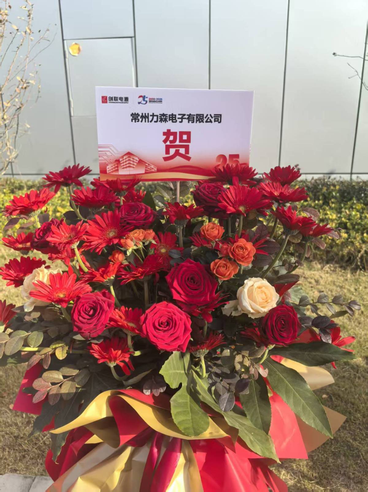 力森3 力森3