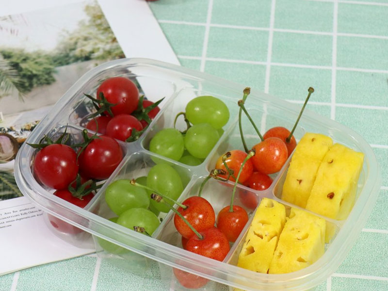What are the types of disposable lunch boxes?