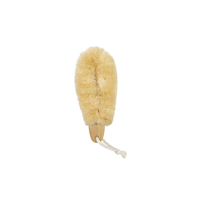 Dry Brush DBB029-LO1/ DBB029-LO2