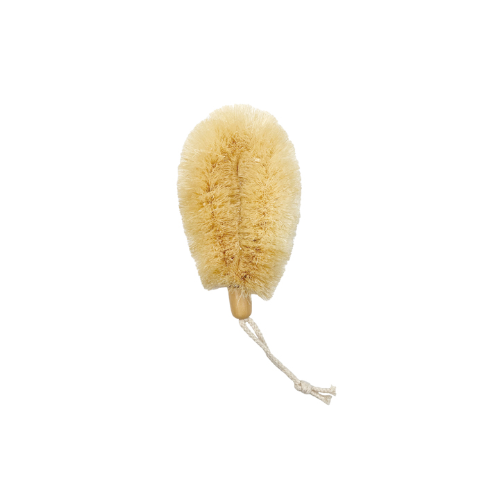 Dry Brush DBB031-LO1/ DBB031-LO2/ DBB031-LO1