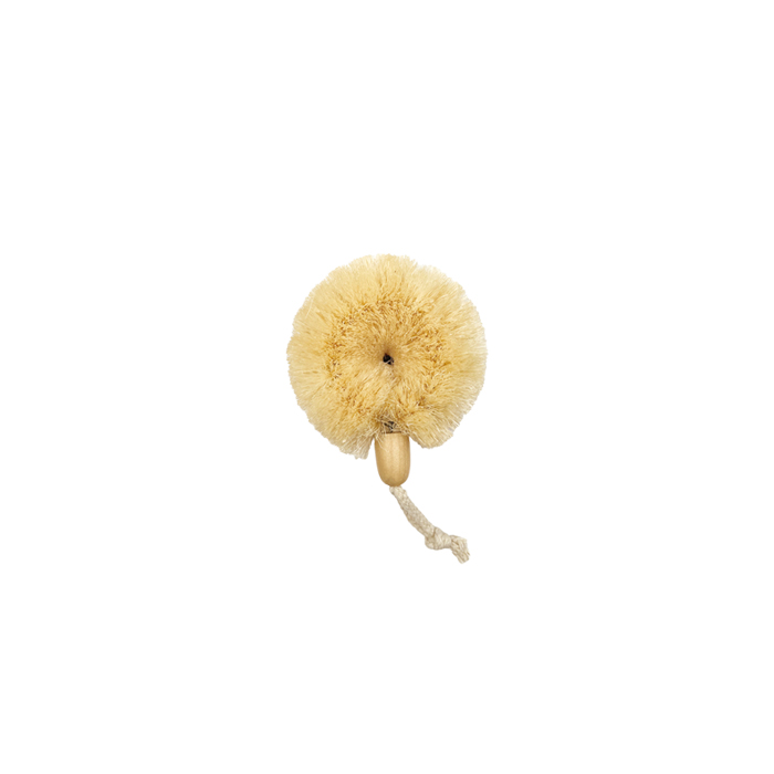 Dry Brush DBB031-LO1/ DBB031-LO2/ DBB031-LO1