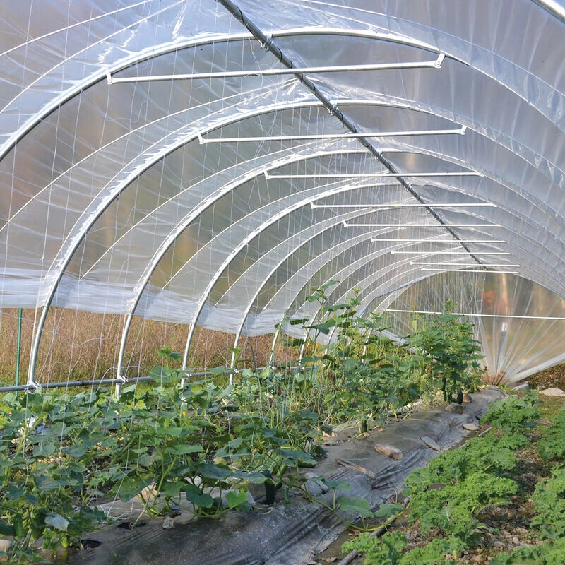 PE moisture-proof film