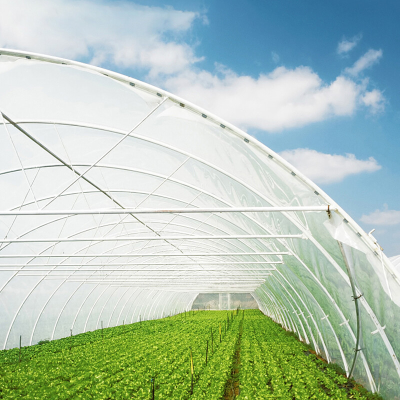 Plastic film for greenhouses