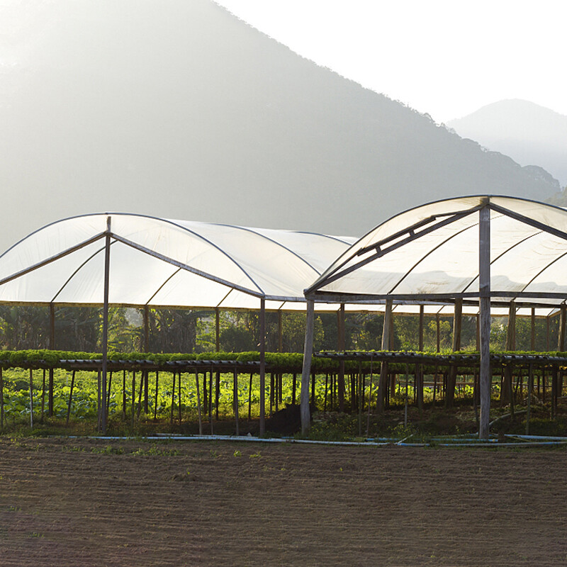 Plastic film for greenhouses