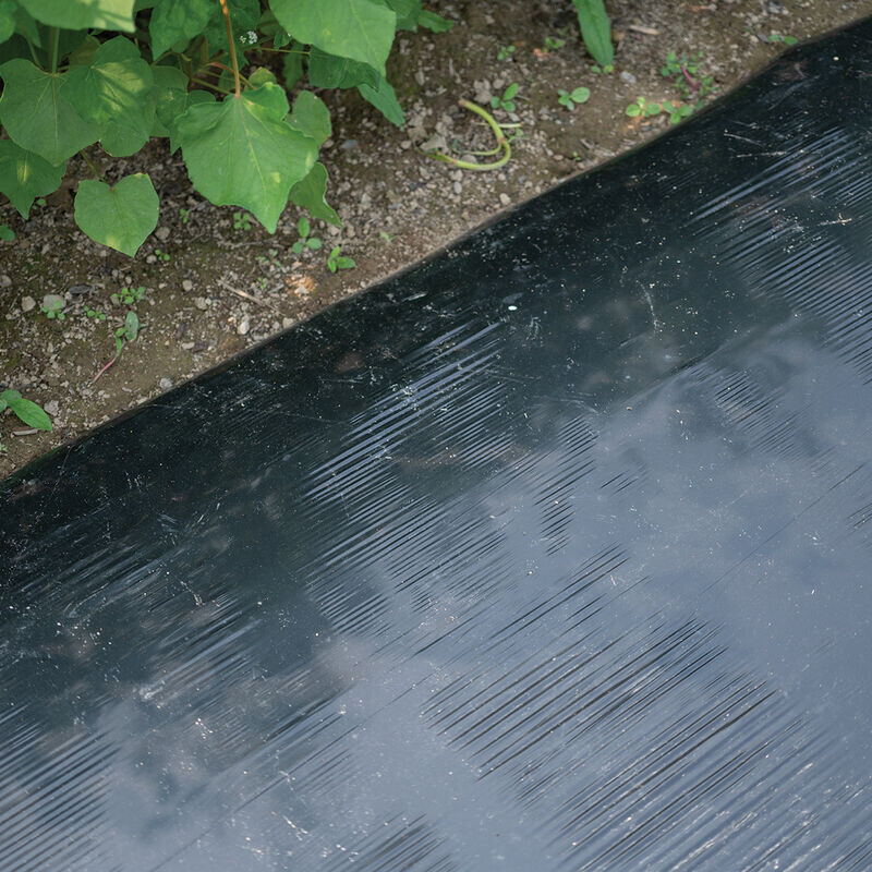 plastic packaging film roll black plastic wrap film mulch film