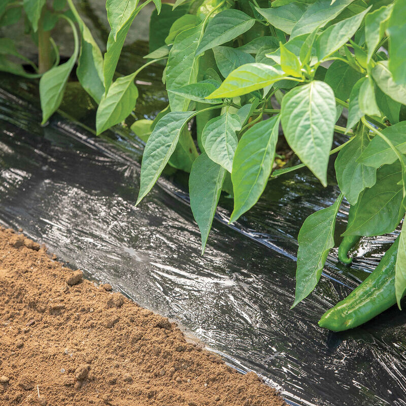 Agricultural silver black mulch film, weed control film, black weed control film