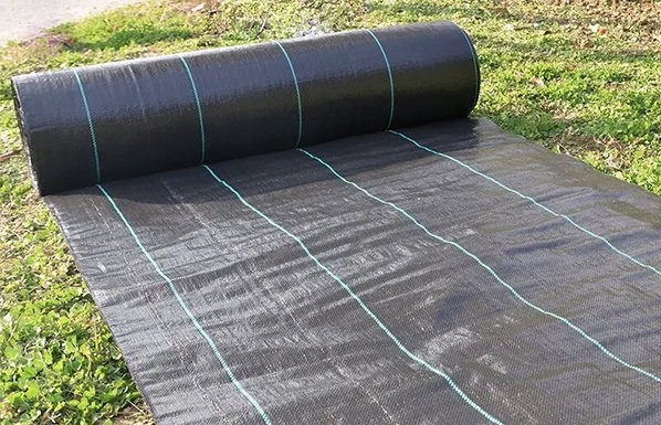 Differences Between Weed Control Fabric and Plastic Mulch