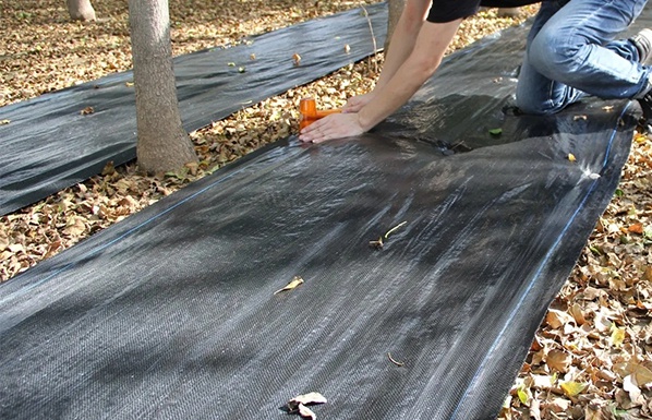 Weeds Still Growing After Laying Weed Barrier Fabric?