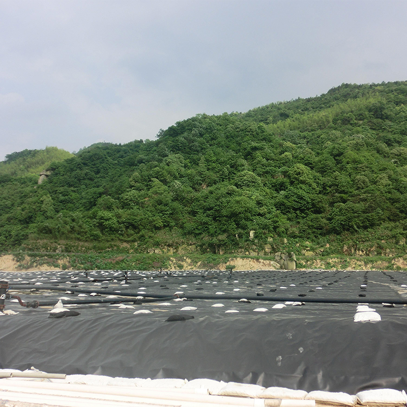 High quality HDPE geomembrane for lining landfill wastewater digesters