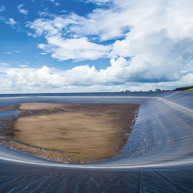 Wholesale 0.2mm 3.0mm Composite Geomembrane HDPE Geomembrane Liner