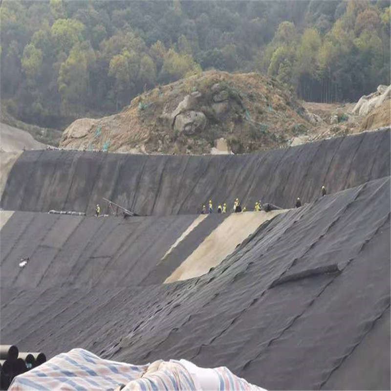Wholesale 0.2mm 3.0mm Composite Geomembrane HDPE Geomembrane Liner