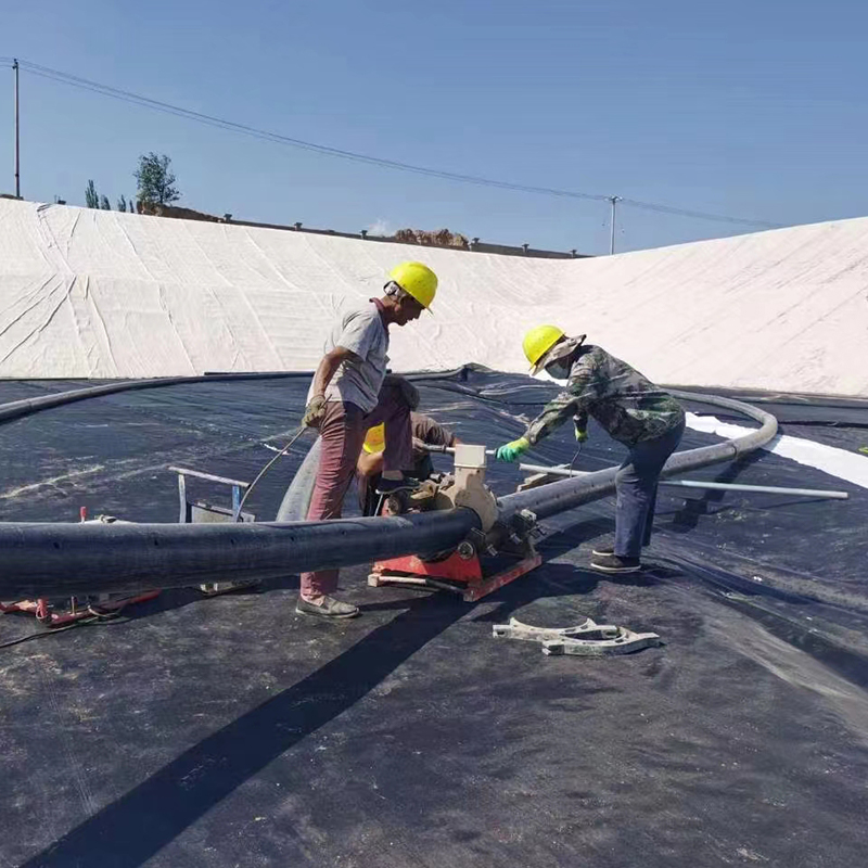 Waterproof pe Geomembranes HDPE/LDPE for landfill with High quality