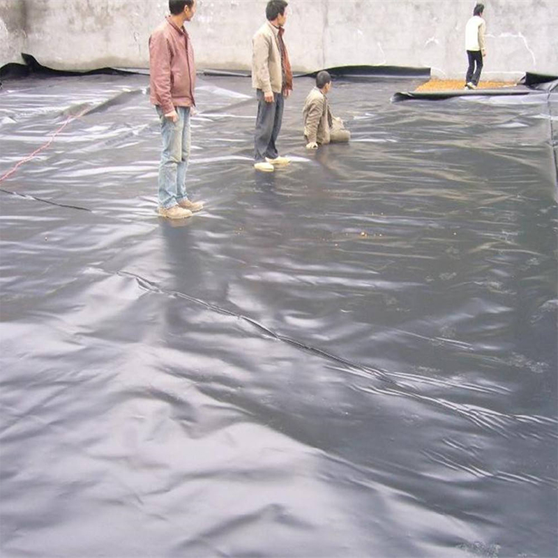 1.5mm 2mm Landfill Biodigester Liners HDPE PE Geomembrane