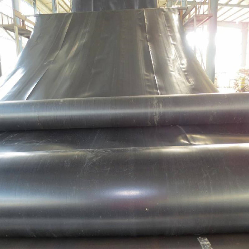 Low price ldpe 0.2mm to 3mm geomembrane sheet ldpe/hdpe geomembrane