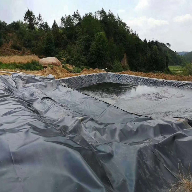 Low price ldpe 0.2mm to 3mm geomembrane sheet ldpe/hdpe geomembrane