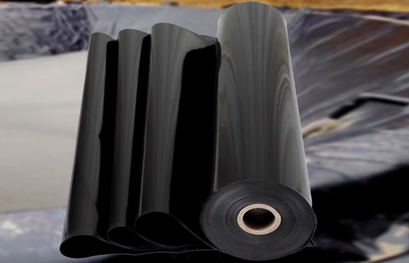 Application Fields of Geogrid Engineering