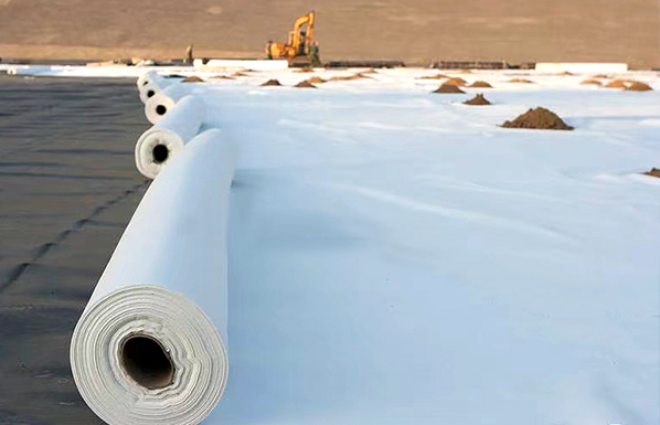 COMPOSITE GEOMEMBRANE RELATED CONTENT