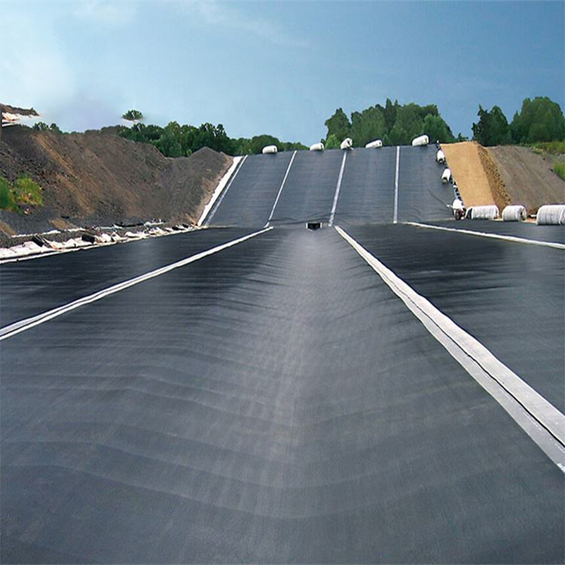 1.5mm 2mm HDPE pe Geomembrane Waterproof Plastic Pond Liner for Fish Pond Landfill Dam Mining Lagoon