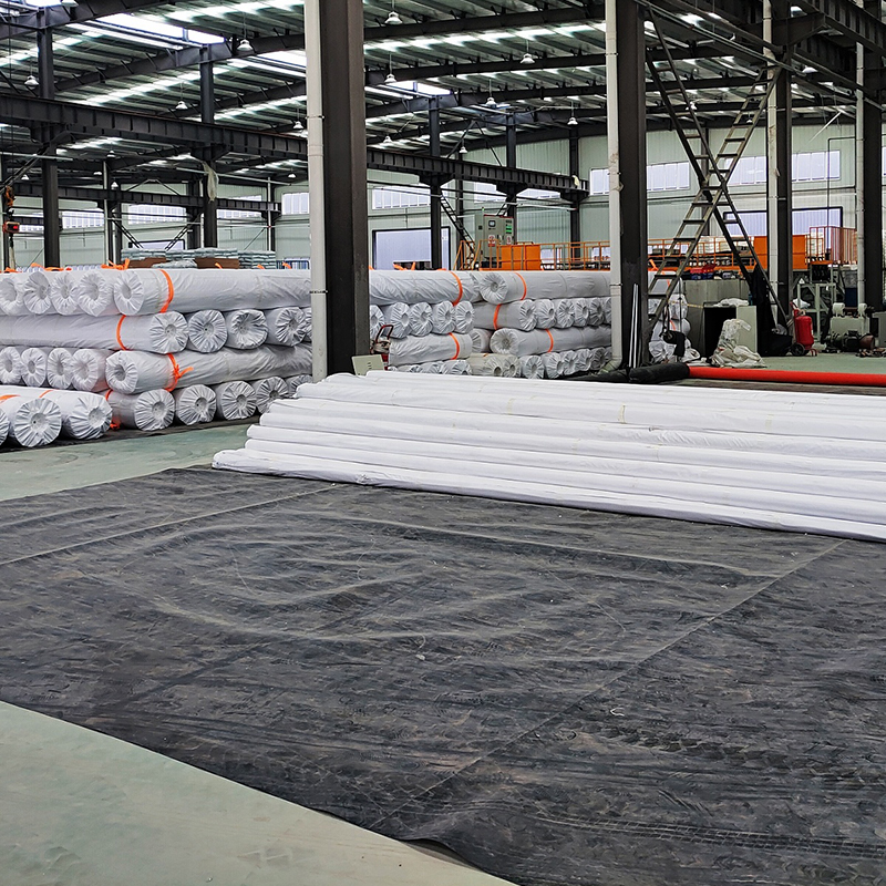 1.2mm/1.5mm HDPE Pond Liner PVC EVA LDPE LLDPE Geomembranes liner for Biogas Digester Landfill