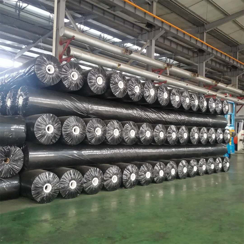80-600gsm PET or PP material Staple Fiber geotextile for slope protection