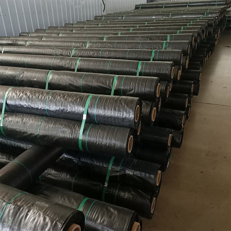 200g/m2 High Strength Non Woven Geotextile Fabric Pp Pet staple fiber geotextiles