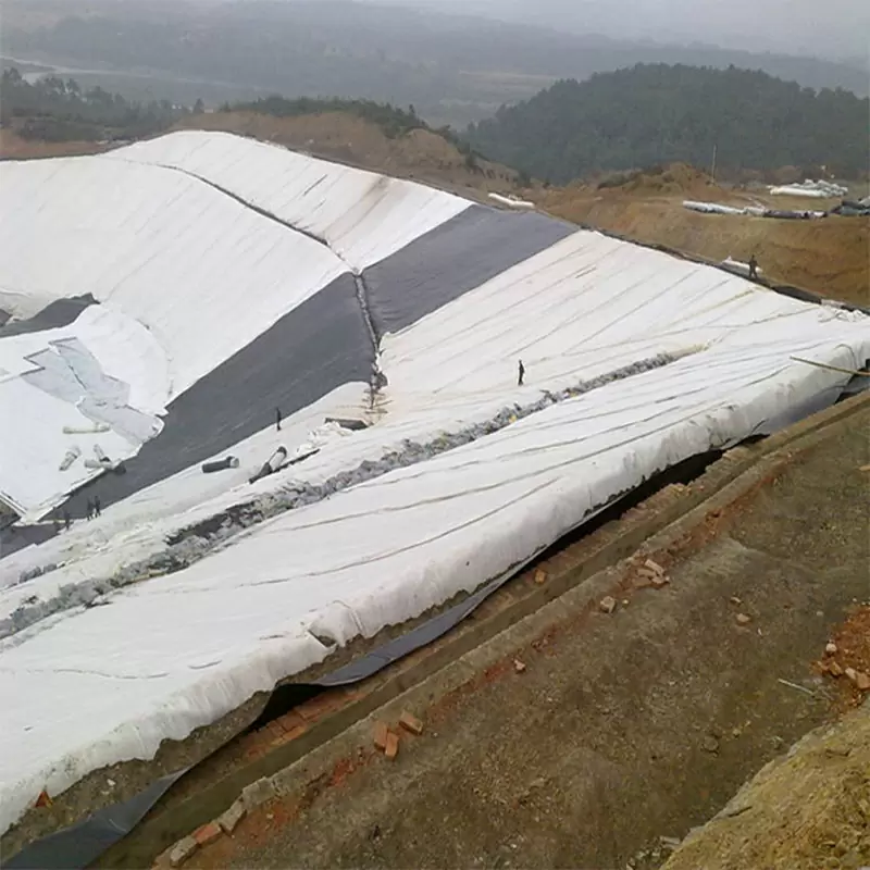 PET Polyester Filament Long Fiber needle punched Nonwoven Geotextile for civil engineering
