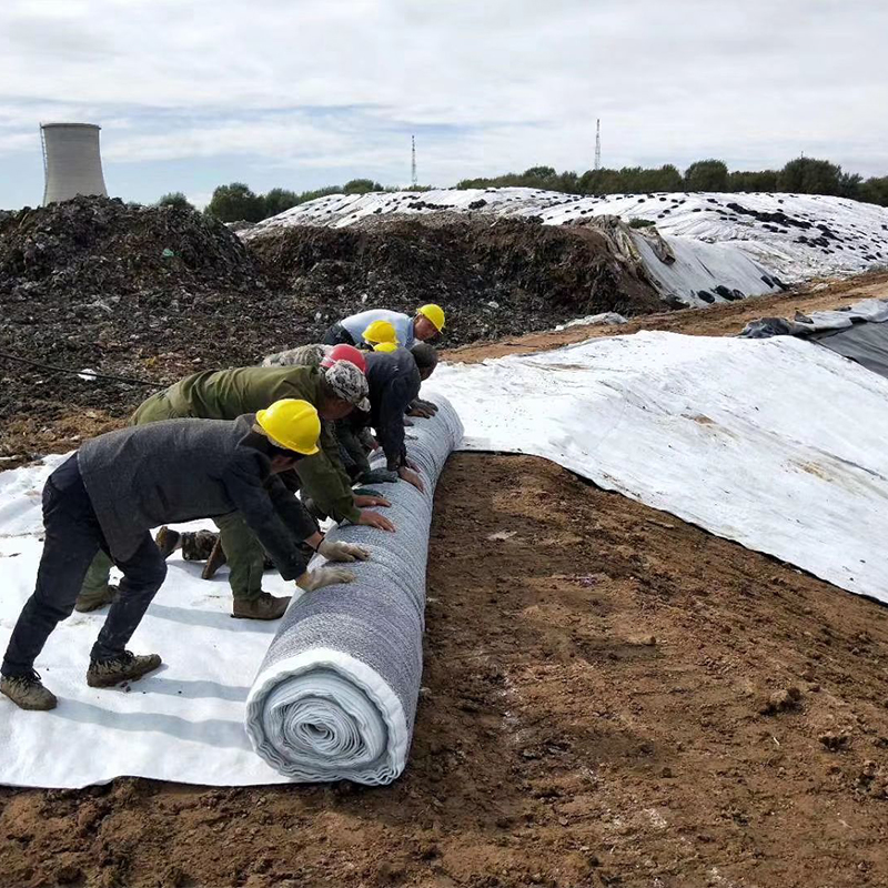 Bentonite geotextile geosynthetic clay liners with HDPE 0.2mm film waterproof Geomembrane