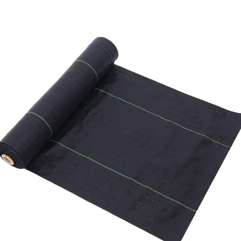 100% pp Material Ground Weeding Net Roll Vegetable Ground Prevention Grass Net