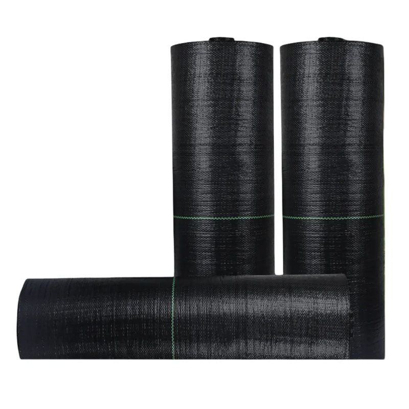 Black UV Protective Plastic Grass Cloth 90gsm Pp/Pe Weed Mat for Preventing Grass Growth