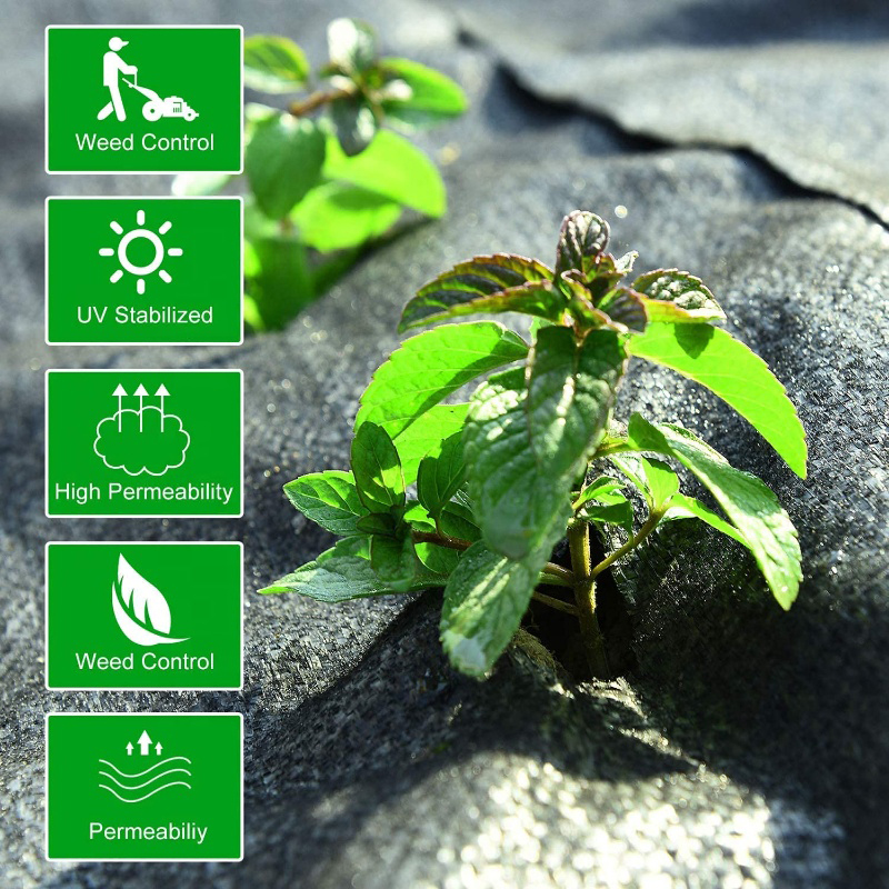 100% pp Material Ground Weeding Net Roll Vegetable Ground Prevention Grass Net