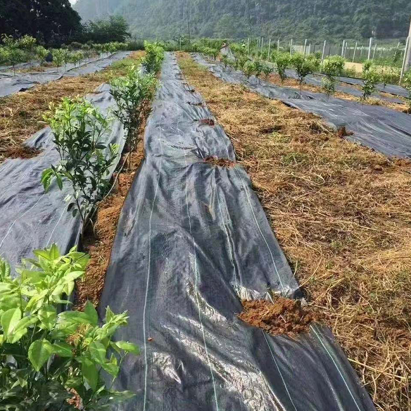 Discount price rainwater Permeable Weed Mat/weed barrier netting/Pp Woven Fabric