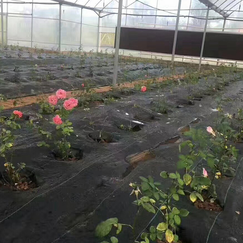 Discount price rainwater Permeable Weed Mat/weed barrier netting/Pp Woven Fabric