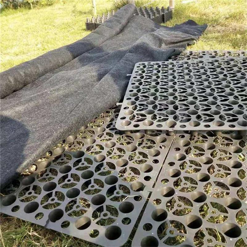 Eco-friendly Construction Waterproof Plastic Sheet HDPE Drainage Board Dimple Membrane Drain Mat