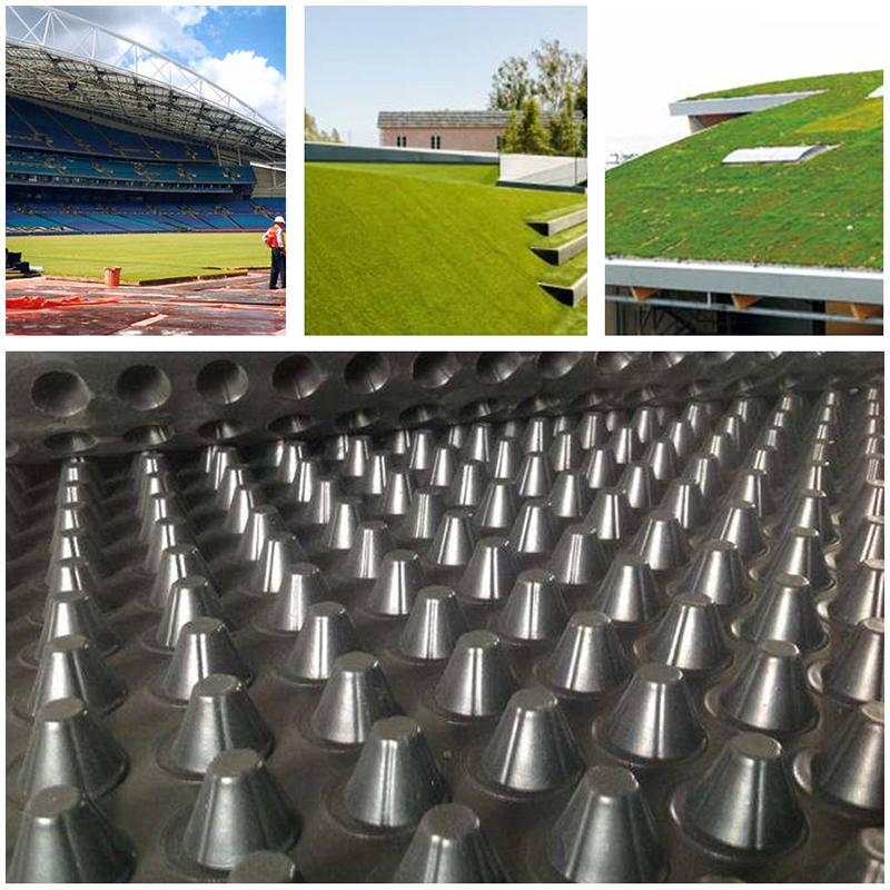 PVC Plastic drain board drainage sheet mat/plastic drainage matting 20mm